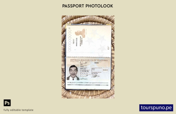 Plantilla de apariencia de foto de pasaporte de Venezuela lista para imprimir